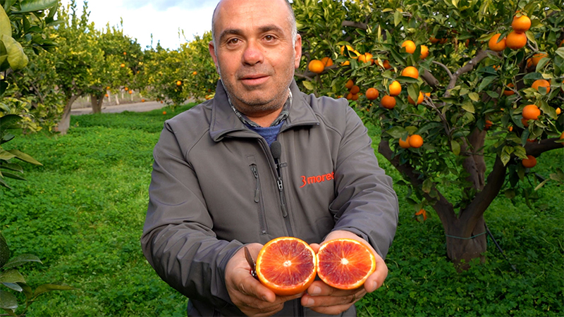 Carmelo Cantarella, agronomo e produttore di arance rosse in provincia di Catania